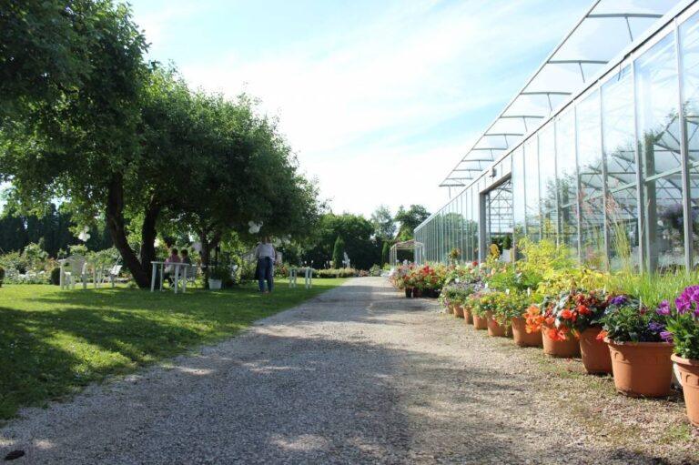 põltsamaa roosiaia müügitee